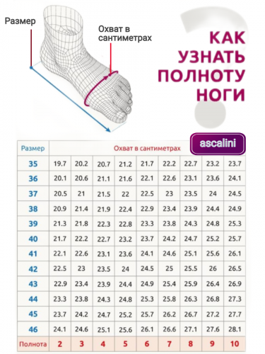 Туфли Аскалини G 145 фото 5